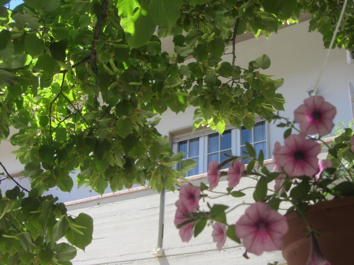 B&B Il Country E Il Mare Martinsicuro Exteriér fotografie